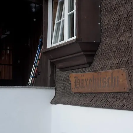 Silverbirch - * Davos