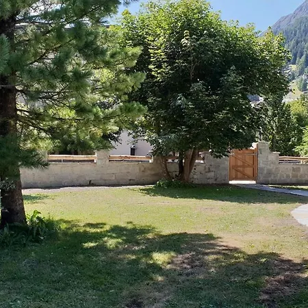 Silverbirch - * Davos