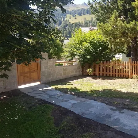 Silverbirch - Appartement *