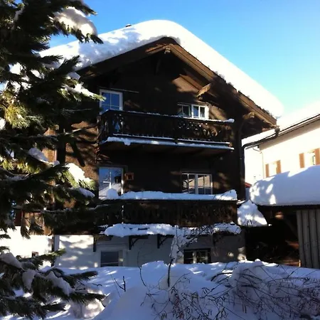 Silverbirch -